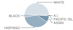 Pioneer Middle School Student Race Distribution