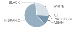 Valencia High School Student Race Distribution