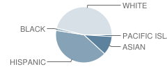 Orion Alternative School Student Race Distribution