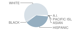 Rio Bravo Elementary School Student Race Distribution