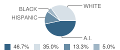 Eel River Charter School Student Race Distribution