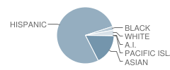 Rincon Intermediate School Student Race Distribution