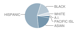 Bowling Green Elementary School Student Race Distribution