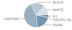 Sam Brannan Middle School Student Race Distribution