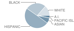 Capital City Independent Study School Student Race Distribution