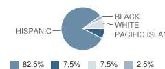 Gunderson Plus (Continuation) School Student Race Distribution