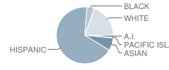 Abraham Lincoln High School Student Race Distribution