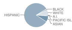 Walter L. Bachrodt Elementary School Student Race Distribution