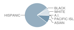 San Jose High Academy Student Race Distribution