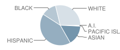 Terrell Elementary School Student Race Distribution