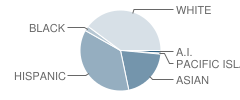 Hacienda Science / Environmental Magnet School Student Race Distribution