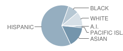 Canoas Elementary School Student Race Distribution