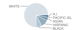 John Barrett Middle School Student Race Distribution