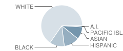 Venture (Alternative) School Student Race Distribution