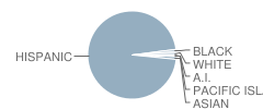 San Ysidro Middle School Student Race Distribution