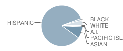 Douglas Macarthur Fundamental Intermediate School Student Race Distribution