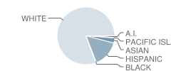 Santa Barbara Charter School Student Race Distribution