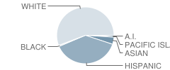 Washington Elementary School Student Race Distribution