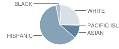 New Valley Continuation High School Student Race Distribution