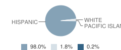 Glen City Elementary School Student Race Distribution
