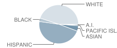 Santa Rosa Middle School Student Race Distribution