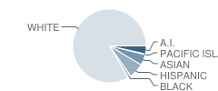 Shasta High School Student Race Distribution