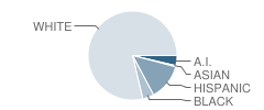 Shasta Secondary Home School Student Race Distribution