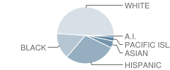 Congressman Jerry Lewis Elementary School Student Race Distribution