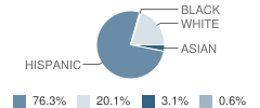 Park View Elementary School Student Race Distribution