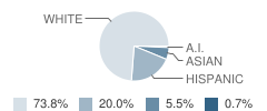 Monte Vista School Student Race Distribution