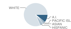 Dario Cassina High School Student Race Distribution