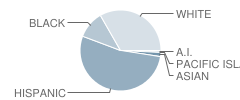 Tropico Middle School Student Race Distribution