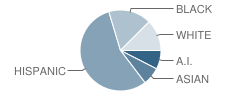 Model Alternative School Student Race Distribution