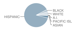 Castle Park High School Student Race Distribution