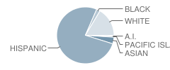 Hilltop High School Student Race Distribution