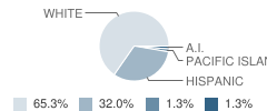 Buena Vista High (Continuation) School Student Race Distribution