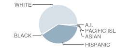 Taft Union High School Student Race Distribution