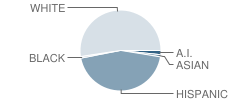 North Tahoe Middle School Student Race Distribution