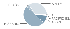 Shery (Kurt T.) High (Continuation) School Student Race Distribution