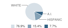 Trinity Center Elementary School Student Race Distribution