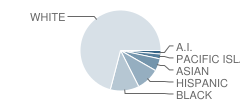 Elise P. Buckingham Charter School Student Race Distribution