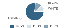 Buena Vista High School Student Race Distribution