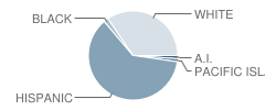 Pacific High School Student Race Distribution