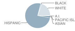 Montalvo Elementary School Student Race Distribution