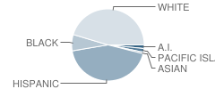 Sierra Vista High School Student Race Distribution