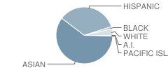 Anderson Elementary School Student Race Distribution