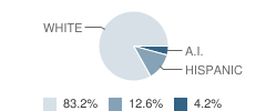 Westwood High School Student Race Distribution