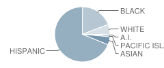 Teilman Community Day School Student Race Distribution