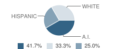 Jill Kinmont Boothe School Student Race Distribution