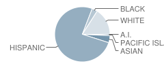 Access Juvenile Hall School Student Race Distribution